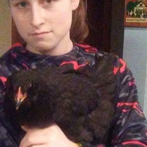 Meet your Posher, Bailey